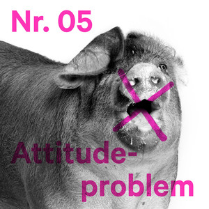 Attitudeproblem