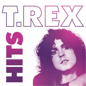 T. Rex- Hits