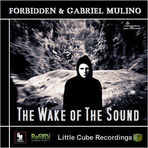 The Wake Of The Sound