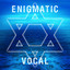 Enigmatic Vocal