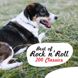 Best Of Rock N' Roll - 200 Classi