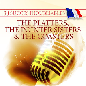 30 Succès Inoubliables : The Plat