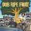Dub Ripe Fruit
