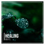 # 1 Album: Healing Nights