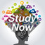 Study Now - Essential New Age Mus