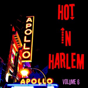 Hot In Harlem Vol. 6