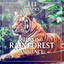 111 Tracks: Relaxing Rainforest A
