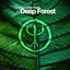 Essence Of The Forest By Deep For