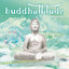 Buddhattitude Himalaya