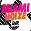 Miami Noize 2012