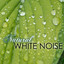 Natural White Noise - Sounds of N