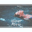 Water Abyss - Immerse Yourself, M
