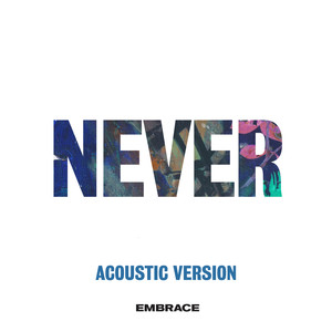 Never (acoustic)