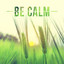 Be Calm: Tranquility New Age with