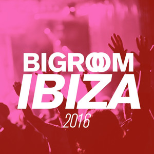 Bigroom Ibiza 2016