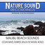 Malibu Beach Sounds (Ocean Waves,