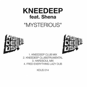 Mysterious (feat. Shena)
