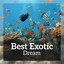 Best Exotic Dream (Tropical Journ