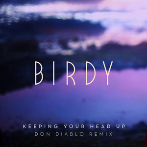Keeping Your Head Up (Don Diablo 