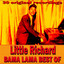 The One The Only Little Richard