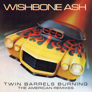 Twin Barrels Burning - The Americ