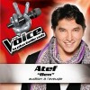 Ben - The Voice : la plus belle voix