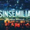 Sinsemilia