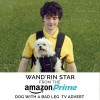 Wand'rin' Star
