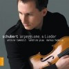Arpeggione & Lieder