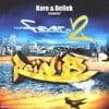 Raï'N'B Fever 2