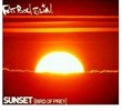 Sunset (Bird Of Prey)