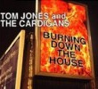 Burning Down The House