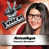 Sweet Dreams - The Voice : La Plus Belle Voix