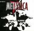 Until It Sleeps