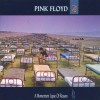 A Momentary Lapse Of Reason