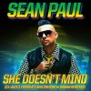 She Doesn't Mind (DJ Laszlo...