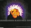 Black Hole Sun
