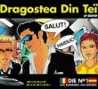 Dragostea din teï