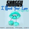 I Need Your Love