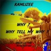 Why Tell My Why?