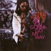 Are You Gonna Go My Way