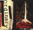 Ordinary World