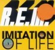 Imitation Of Life