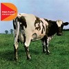 Atom Heart Mother (2011 - R...