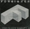 I Want To Know What Love Is