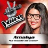 Le monde est stone - The Voice : La Plus Belle Voix