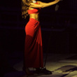 Rihanna en live au Verizon Center de Washington : photos