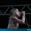  Iggy & The Stooges à la Citadelle de Spandau à Berlin : photos