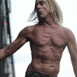  Iggy & The Stooges à la Citadelle de Spandau à Berlin : photos