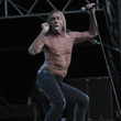  Iggy & The Stooges à la Citadelle de Spandau à Berlin : photos